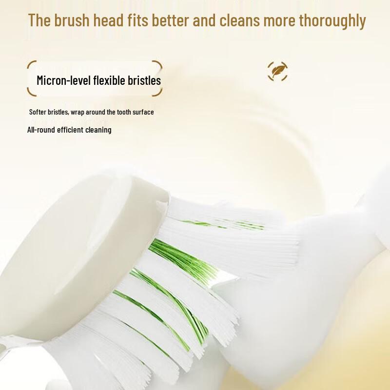 Philips HX2481 Sonic Electric Toothbrush CN plug (adapter included)