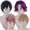 Heat-resistant Cosplay Wig, Perfect for Anime Costumes, Parties, Events, and Fancy Dress. Includes Wig Net. (Watarai Hibari)