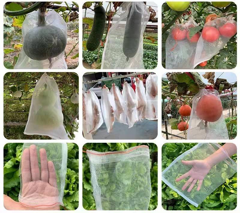 10/100Pcs Orchard Fruit Planting Protection Bag Insect and Bird Proof Fruit and Vegetable Growth Bag Garden Accessories