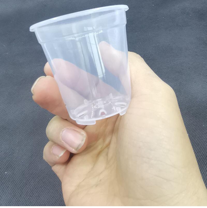 Clear Plastic Orchid Pot: Sphagnum Moss, Square & Round Design for Phalaenopsis or Fish Tanks