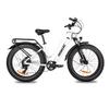 Ebike X8 26X4.0" Fat Snow Elektrofahrrad 750W Bafang Urban Elektrofahrrad 48V 19.2AH Batterie Adult Beach Ebike