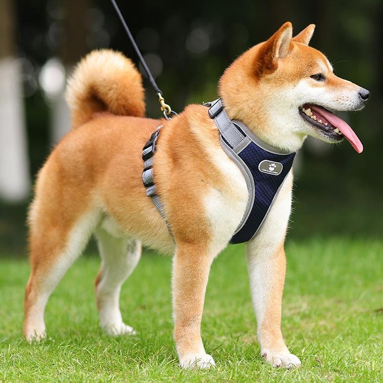 Astro Navy Blue Dog Training Harness, Size Xl