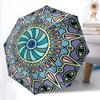 Accesorii – Umbrele