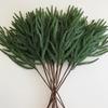 5Pcs Norfolk Pine Branches Faux Cedar Stems For Diy Crafts, Garland, Wreath & Home Decor