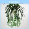 Chlorophytum Comosum Wall Hanging Fake Plant For Home Decor And Indoor Garden Decorate