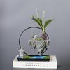 Phalaenopsis Blumentopf Glücksbaum Bonsai Retro Reis Bambus Innen schwebende Insel Hängender Eisen Mikro-Landschaftstopf