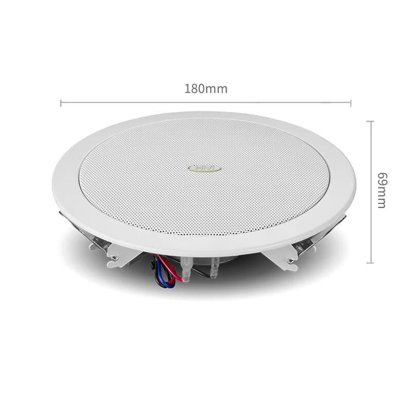 HiVi JS105 5-inch Commercial Ceiling Speaker CN Plug (adapter Included)