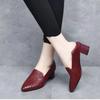2025 New Spring Women's Pointed Point Medium Thick Heel Shallow Mouth Single Shoes Fashion Soft Leather Embroidered Work Shoes