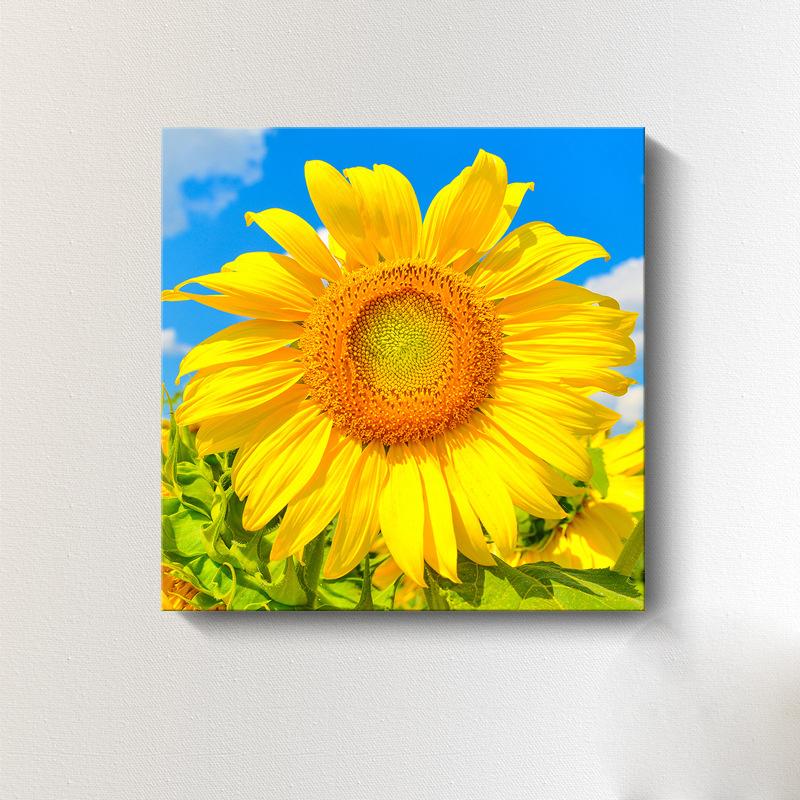 Moderne Sonnenblumen-Leinwandmalerei, nordische Landschaft, HD-Bilder, Blumenplakate und -drucke, Wandkunst, Bilder, Wanddekoration, kein Rahmen