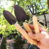 Mini Horticultural Tools Three Piece Set for Gardening Potted Plants Wooden Handle Agricultural Tools Shovel Rake