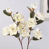 97cm Artificial Magnolia Branches Floral Art Artificial Orchid Flowers  Living Room Desktop