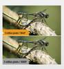 8-12mm Autofocus 5MP HD WiFi Endoscope for Mobile Phones & Industrial Pipe/Fish Finder
