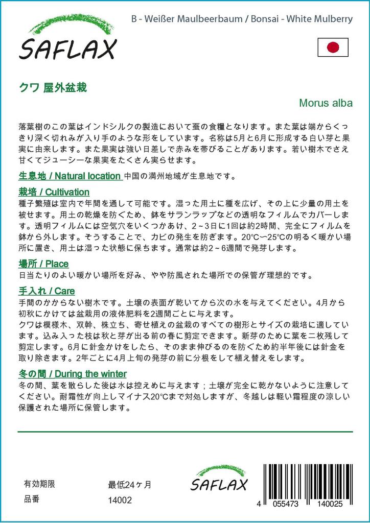 SAFLAX Bonsai - Moruše bílá - 200 semen - Se substrátem pro lepší pěstování - Morus alba