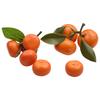 9 Stück Künstliche Orangenfrucht-Set aus Schaumstoffmaterial für Küchentisch Bar Display Dekorationen und Fotografische Requisiten