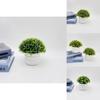Artificial Starry Sky Hemisphere Plant Pot With Plastic Material For Wedding Decor And Indoor Garden