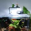 Mini Fishing Decorative Ornaments Fish Tank DIY with Fishing Rod Panda Fishing Ornaments Cartoon Landscaping Ornaments
