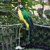 25/35 Cm Lifelike Simulation Bird Feather Bird Parrot Fake Bird Decoration Home Garden Home Decoration Props