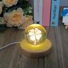 10 Pcs Wooden LED Display Bases Round Wood Display Lighted Bases for Glass Art LED Lighted Display Stand Bases for 3D Crystal Ball Room Office Home