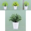 Plastic Faux Greenery Indoor Outdoor Plant Pot Decorative Small Potted Plant For Desk
