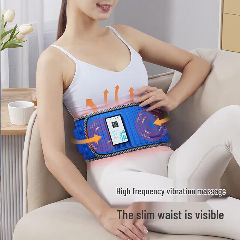 Chigo Rechargeable Heating Vibration Waist Massager