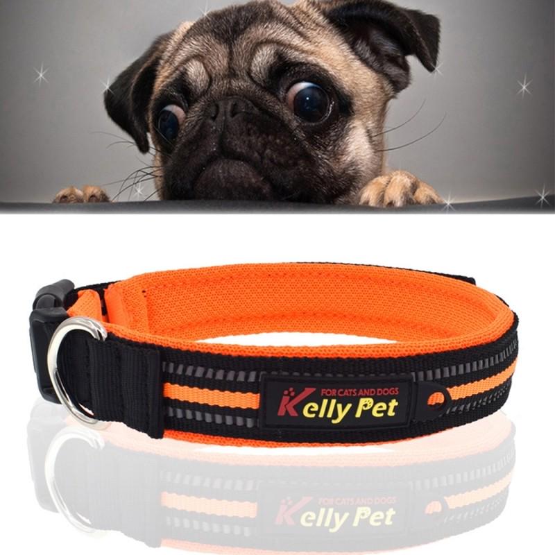 Collier Chien Chat Orange Pour Animal De Compagnie Chiens Polyester Reflechissant Respirant Animaux Laisse Traction Taille S 2 0 35 Kjop Til Lave Priser I Nettbutikken Joom