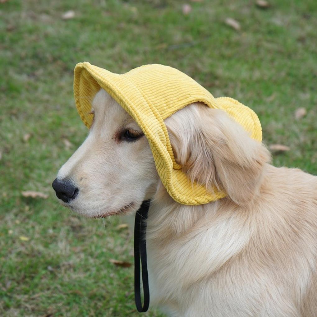 Pooch With Dog Sun Hats Stylish Accessories For Summer Days Dog Hats Summer Kids Beach Hats Dog Cabi