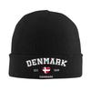 Denmark Est 1849 Knitted Hat Beanie Hats Outdoor Thermal Elastic Unisex Adult Bonnet Hats Autumn Winter Printed Hip Hop Caps
