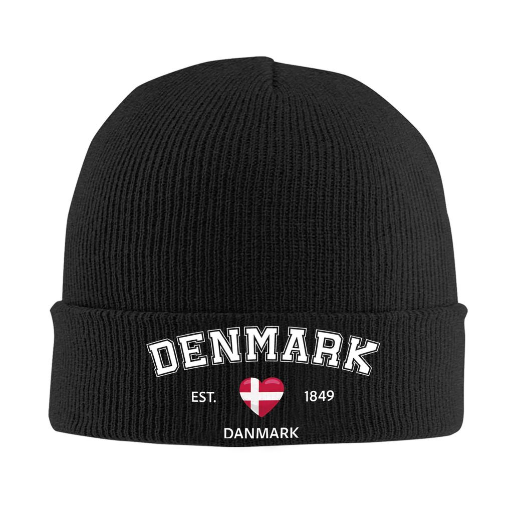 Denmark Est 1849 Knitted Hat Beanie Hats Outdoor Thermal Elastic Unisex Adult Bonnet Hats Autumn Winter Printed Hip Hop Caps
