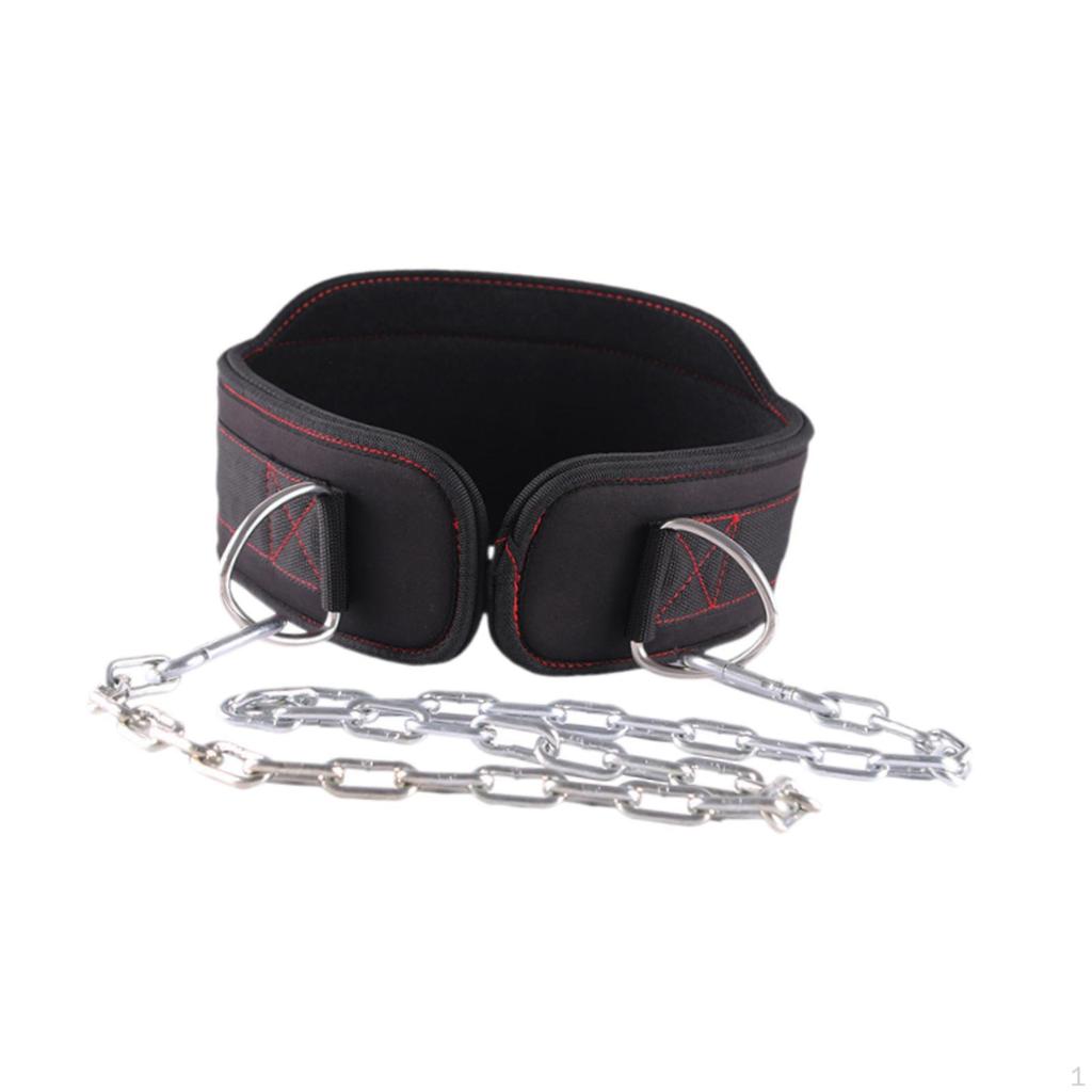 Strap Weight Belt Pollo