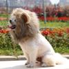 Halloween Lion Mane Hat, Adjustable Pet Costume Cap for Small Medium Large Pets, Funny Animal Cute Cat Dog Costume Accessory