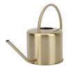 Gold Watering Can 40 oz / 1300 ml Plant Watering Can Modern Long Spout Watering Can  For Succulent