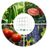 Cucumber Trellis Vegetable Trellis For Cucumbers U-Frame Rack Weather-Resistant Metal Supports For Climbing Plants Greenhouse
