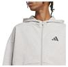 Adidas Future Icons Small Logo Full Zip Sweatshirt