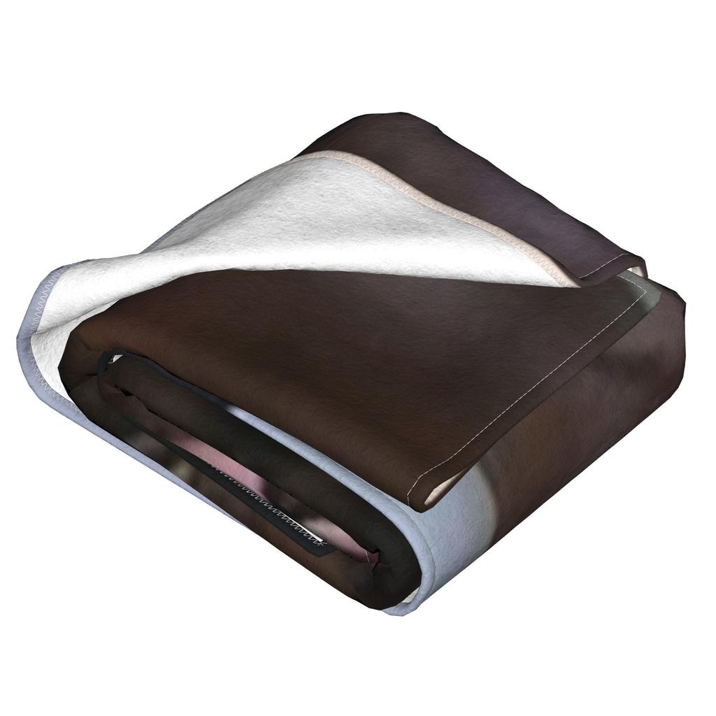 Alan Johnson Peep S Blankets Portable Fleece Sofa Throw Blanket for Home Bedroom Travel Throws Bedspread Quilt