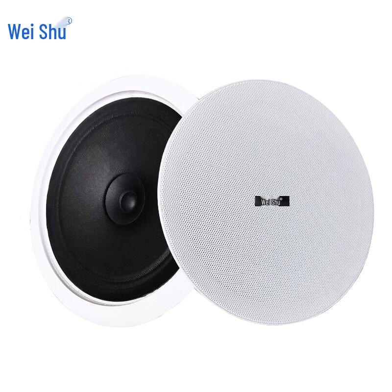 Weishu Professional Audio Loudspeakers (CN Version)