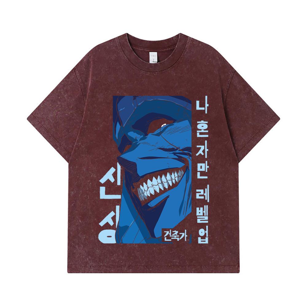 275 GSM Washed T-shirts 100% Cotton Solo Leveling V16 Print Unisex Heavy Cotton T Shirt