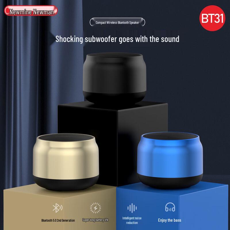 Newmine BT31 Portable Bluetooth Speaker CN plug (adapter included)