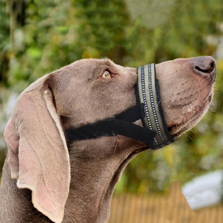 Adjustable Dog Muzzle for Medium Large Breeds Prevents Chewing