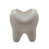 Modern Minimalist Tooth Shaped Pen Holder With 3d Printing For Office Desk Decor