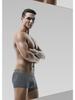 Men's Elephant Underwear, Ice Silk Breathable Mesh U-Convex Large Size Boxer Briefs