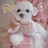Adjustable Cat Collar with Cute Plush Flower and Bell Soft Kitten Necklace for Small Dogs Pet Accessories