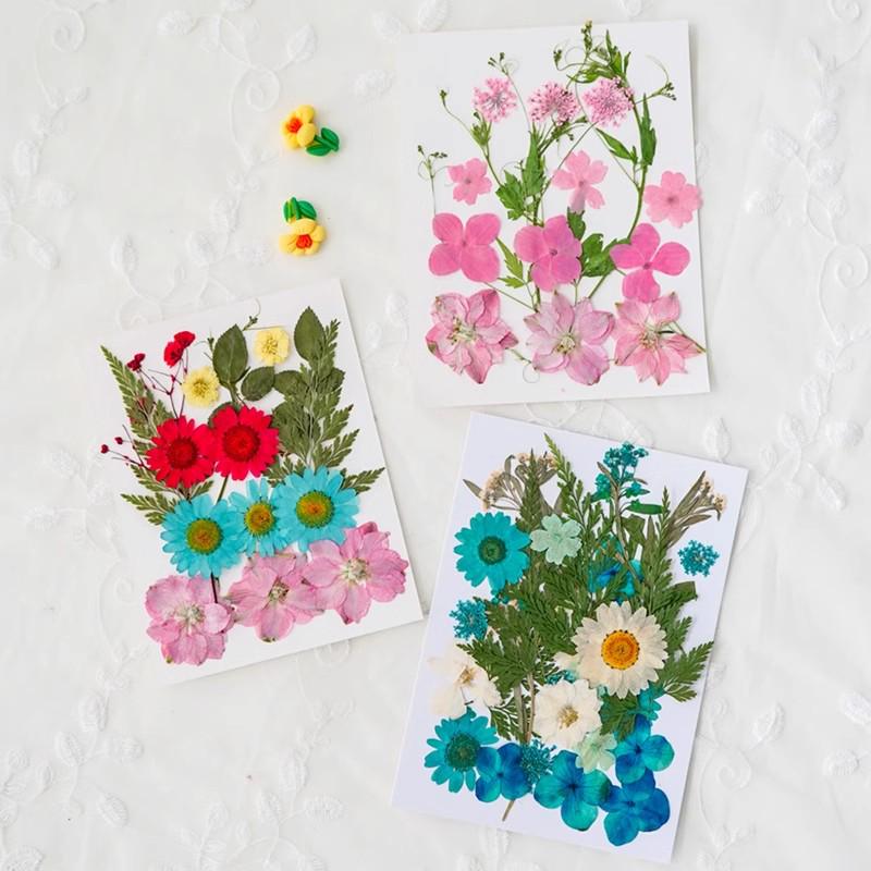 Handmade Pressed Flower Bookmark and Epoxy Sticker Pack with Real Leaf and Plant Specimens for DIY Face Makeup.