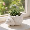 3D Printed Conch Flower Pot Moisture-Resistant Mini Planter with Wavy Edge And Drain