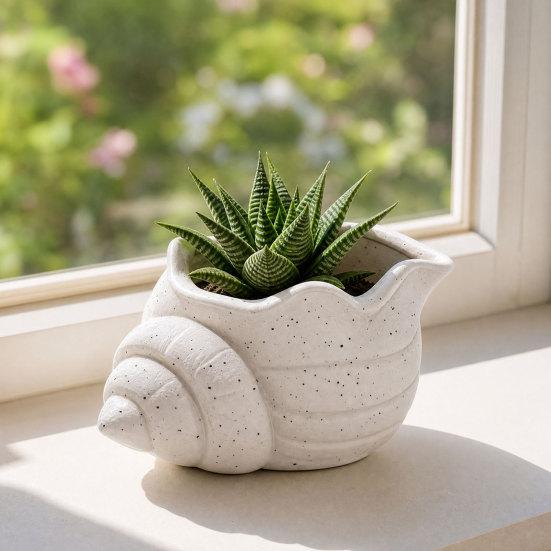 3D Printed Conch Flower Pot Moisture-Resistant Mini Planter with Wavy Edge And Drain