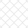 Chain Link Fence with Posts 10 x 1.6 m (W x H) Hot Dip Galvanized Steel