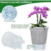Průhledná, prodyšná, zesílená plastová květináčová rostlina s kontrolou kořenů pro Phalaenopsis