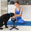 Removable Dog Food Bowl Stand Adjustable Height Angle Pet Bowl Lifting Rack  Pet