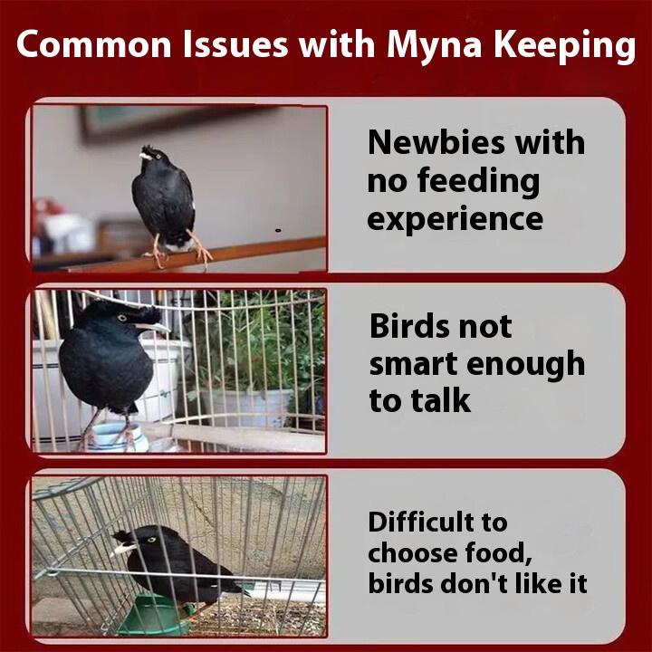 Kaiyuan Starling Bird Food, Parrot, Thrush, Myna, Learn To Speak Quickly, Anti-diarrhea, Calcium Supplementation, Bright Hair, Fat, Nutritious Food