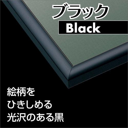 Epoch [Made in Japan] Aluminum Puzzle Frame Panel Max Black (38 x 53cm) (Panel No. 5-B) Hanging String Includes Score Ticket Cell Cover UV Protection