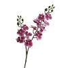Artificial Moth Orchids 2 Fork Realistic Fake Silk Flower Wedding Party Home Office Table Centerpiece Faux Phalaenopsis Floral Branch Decoration